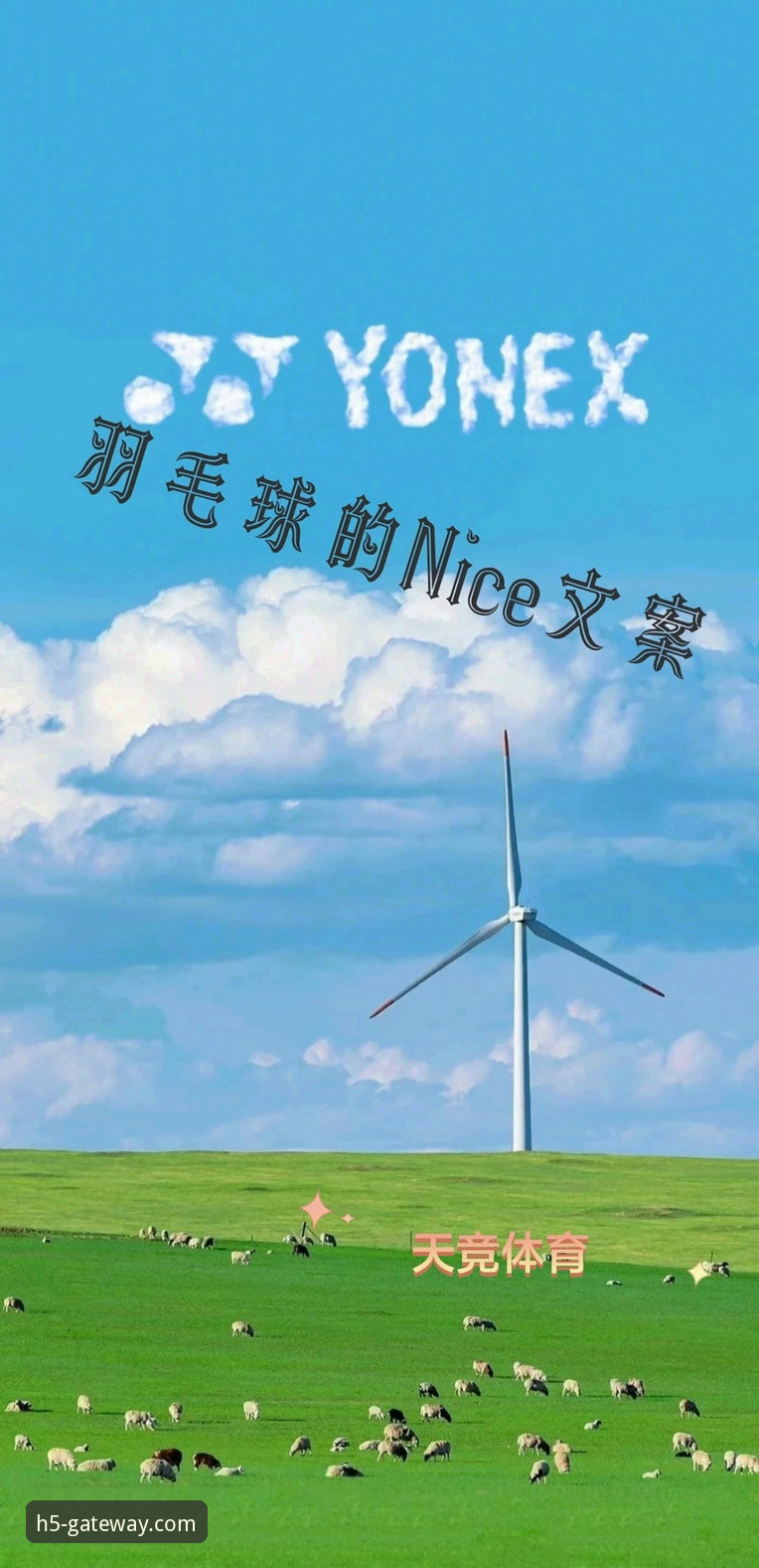 从帕尼切利伤退看世界杯：体育迷必备的观赛与信息获取实用指南